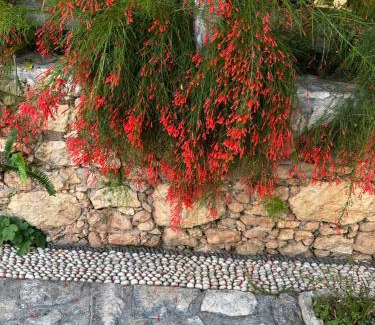 Kalkan Hotel | Courtyard
