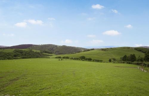 Machynlleth House | Cowlas