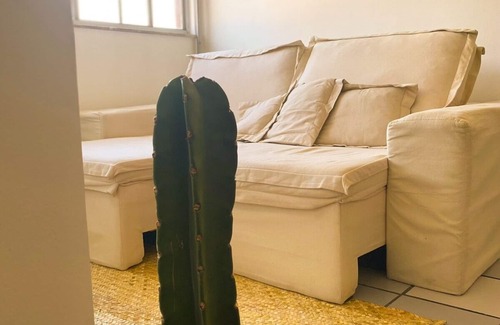 Salvador Apartment | Coziness of Earth, Sun and Sea