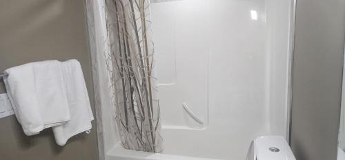 Airdrie Apartment | Cozy 1 and 2 Bedroom Guesthouse South West Airdrie