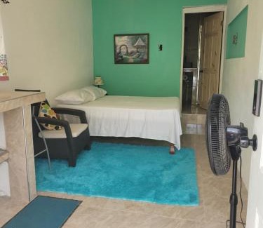 Yallahs House | Cozy 1 Bedroom studio apartment with private parking near Yallahs in St Thomas Jamaica