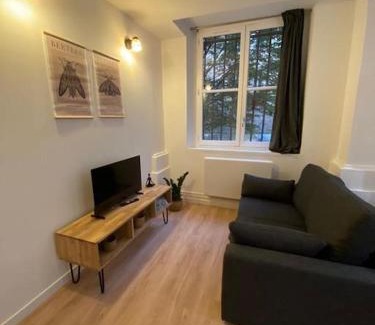 Griffon - Royale Apartment | Cozy 1BR in Lyon Center