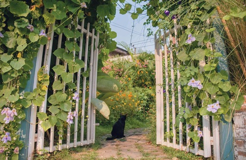 Su Thep Villa | Cozy 1BR Suite in Nimman Villa – Private Bath, Daily Cleaning, Washer