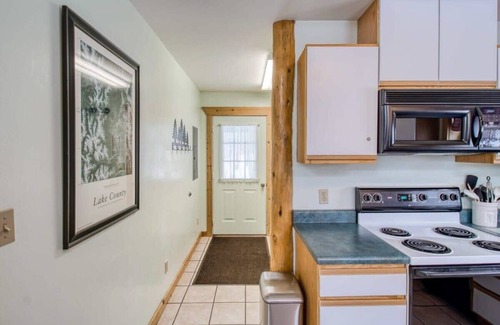 Leadville Cabin | Cozy 2BR Mountain Condo: Loft, Fireplace