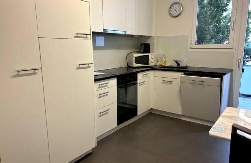 Enge Apartment | Cozy 2BR near Lake - Wille 8