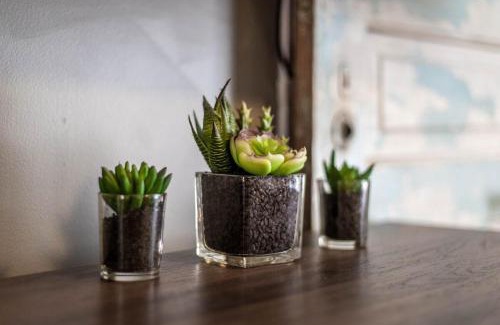 Greensboro House | Cozy 3bdrm2ba with GAME ROOM