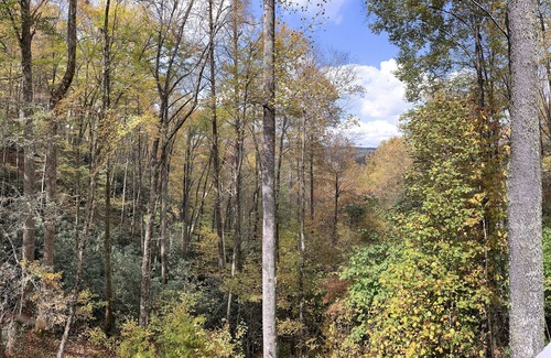 Cullowhee Ski Chalet | Cozy A Frame Cottage above Lake Glenville - Pet Friendly