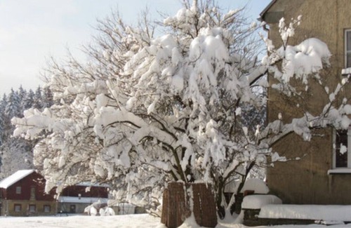Bad Reiboldsgruen Apartment | Cozy and spacious apartment in nature