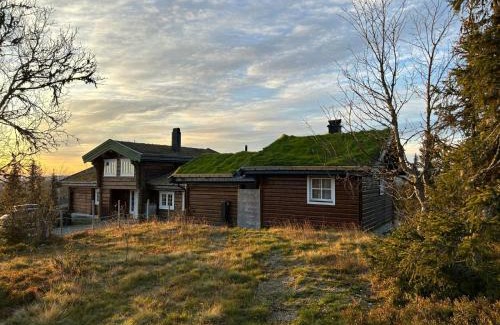 Sor-Aurdal House | Cozy And Spacious Family Cabin In Valdres