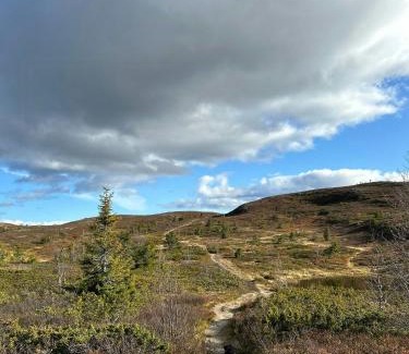 Sor-Aurdal House | Cozy And Spacious Family Cabin In Valdres