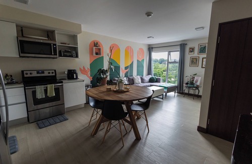 San Jose Apartment | Cozy Apartment close to the nicest parts of San jose, 15 min to SJO airport