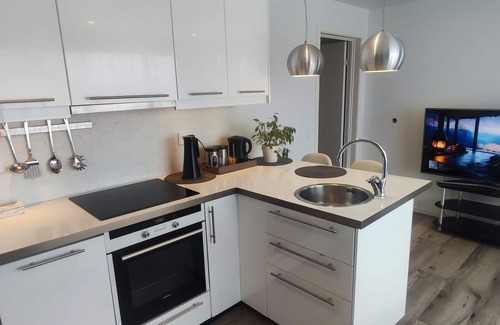 Mandal Apartment | Cozy apartment in Mandal