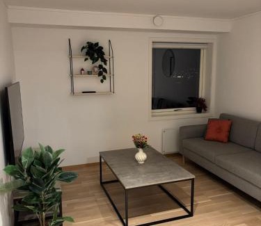 Tromso Apartment | Cozy Aurora View Apartments - Entire 3-Bedroom Fully Furnished Near City Centre