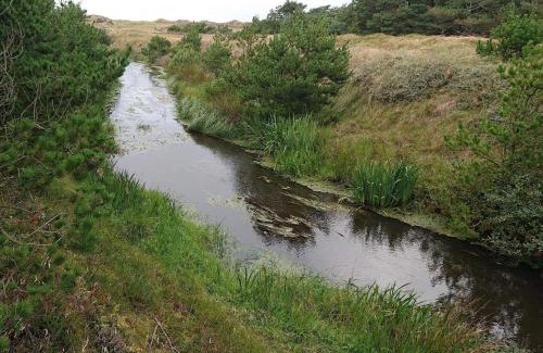 Vejers House | Cozy Beach House in Vejers - By Traum Ferienwohnungen