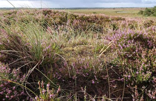 Vejers House | Cozy Beach House in Vejers - By Traum Ferienwohnungen