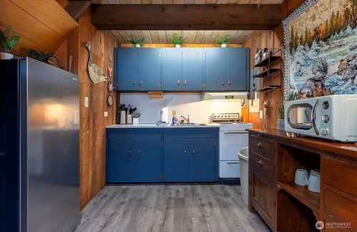 Packwood Apartment | Cozy cabin in enchanting Packwood with AC, WiFi and EV charger