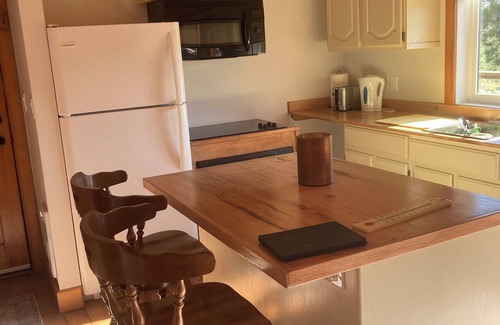 Merritt Cabin | Cozy cabin with WiFi and AC in charming Merritt