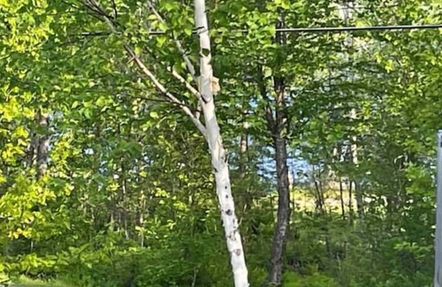 Abbot House | Cozy Camp by the Lake with direct ATV access