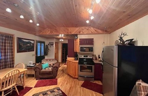 Frenchville Cabin | Cozy camp near the PA Elk herd in Karthaus & close enough to Penn State football