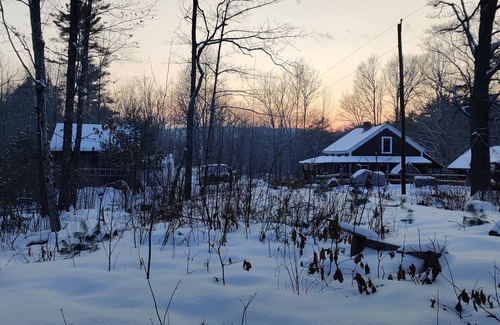 Washington Cabin | Cozy Camp Nestled in the Woods