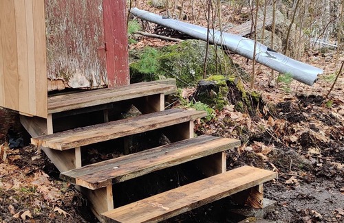Washington Cabin | Cozy Camp Nestled in the Woods