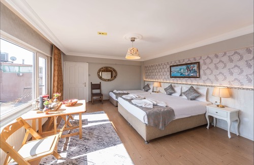 Sultanahmet House | Cozy central apartment with a view of the Blue Mosque