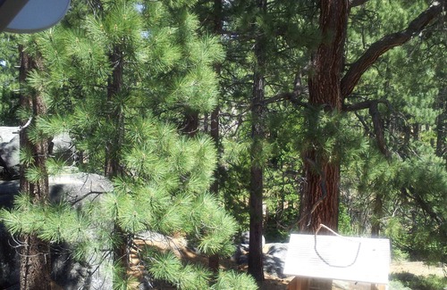 South Lake Tahoe Ski Chalet | Cozy Chalet 5 min from downtown, casinos and ski lift