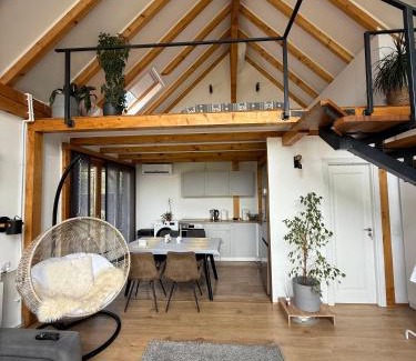 Vadu Pasii Ski Chalet | Cozy Chalet A-Frame