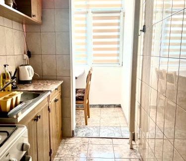 Bacau Apartment | Cozy Comfort Studio Mioritei Wi Fi Self Check in - 11 Venturo