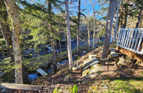 Middle River Cottage | Cozy cottage by the river perfect for nature lovers & pet friendly