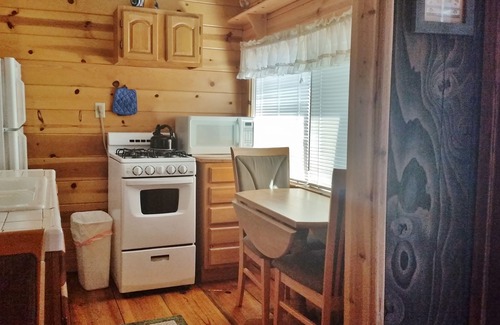 Peninsula Village Cabin | Cozy & Cute Studio Cabin, Pet Friendly with Large Deck On The Lakeshore