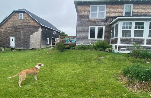 Harrington House | Cozy Downeast home lending you a base camp for all of Maine’s Vacationland!