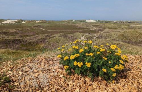 Haurvig House | Cozy Dune Cottage Retreat-By Traum