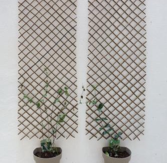 Gzira Apartment | Cozy escape in vibrant Gżira