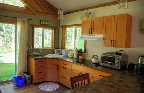 Strathcona Cabin | Cozy Forest Cabin in the Beautiful Sayward Valley