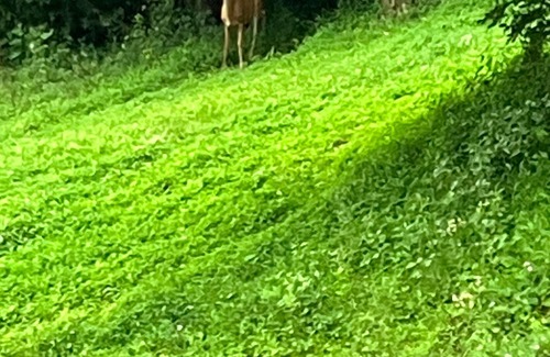 Mattawana Cabin | Cozy getaway with spa close to Juniata River and Raystown..