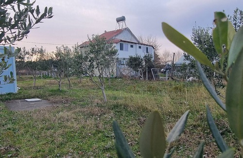 Sakës House | Cozy house in a farm between the lagoon and the sea