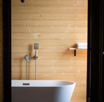 Vedzebi Ski Chalet | Cozy house on Sioni lake