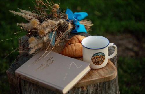 Vedzebi Ski Chalet | Cozy house on Sioni lake