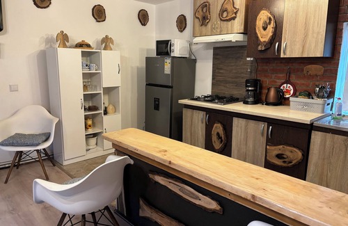 Piatra Fantanele House | Cozy house. Pet-Friendly! Family-sized condo with game room & deck