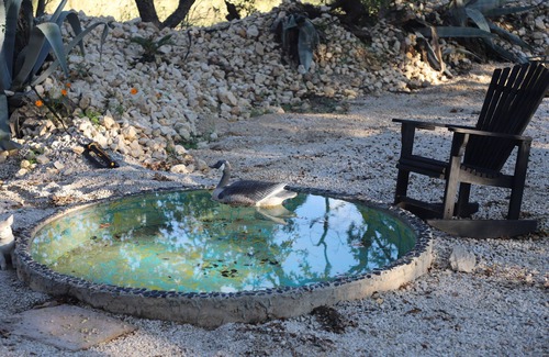 Hondo Cabin | COZY HUNTER'S CABIN IN THE HILL COUNTRY with detached bathroom