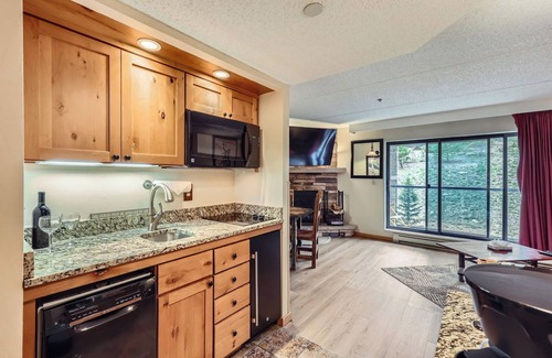 Peak 9 Condo | Cozy King Studio, Ski In, Ski Out, Dog Friendly