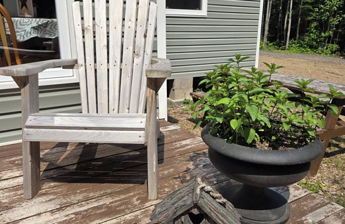 Gloucester County Cabin | Cozy little cabin in the woods.