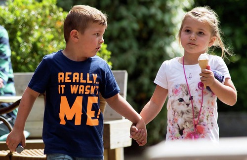 Winterswijk - Brinkheurne House | Cozy lodge with dishwasher in a holiday park in the Achterhoek