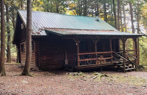 Clarington Cabin | Cozy Log Cabin in Cook Forest
