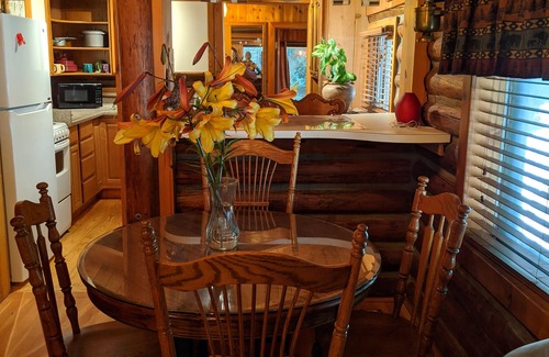 Monroe Cabin | Cozy Log Cabin in peaceful wooded surroundings