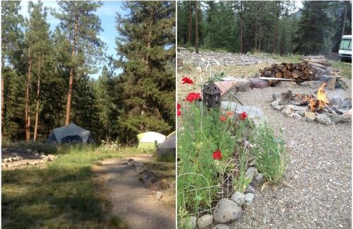 Superior House | Cozy Log Cabin Rental in a Secluded Forest in Mineral County, Montana