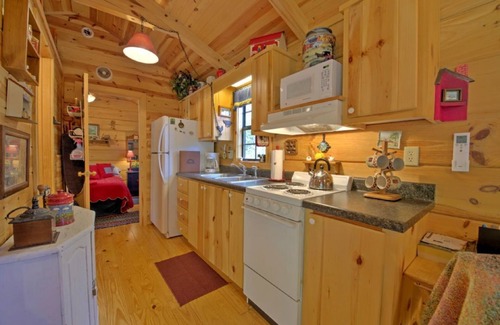 Asheville Cabin | Cozy Log Cabin w/Fire Pit, Mountain Views & Biltmore Pass — 20 Min to Asheville