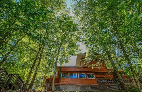 Dandridge Cabin | Cozy Mountain Cabin Game room Hot tub Fireplace