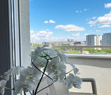 Novi Beograd Apartment | Cozy nest SAVADA